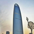 绿地启动二次混改,但张玉良不是董明珠