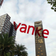 24亿拯救泰禾?万科不当“白衣骑士”