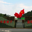 “半条被子的故事”有后续了